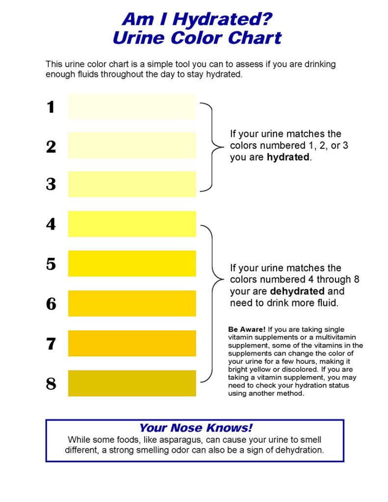 Dehydration Urine Color Chart Infographic Health Summer Summertime