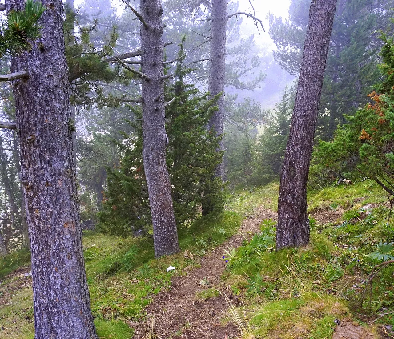 hiking trail navigation