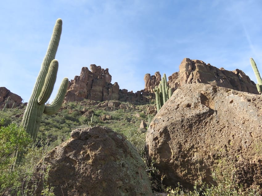 Saguaro cacti and rock formations in the Superstitions along the Bluff Springs trail.