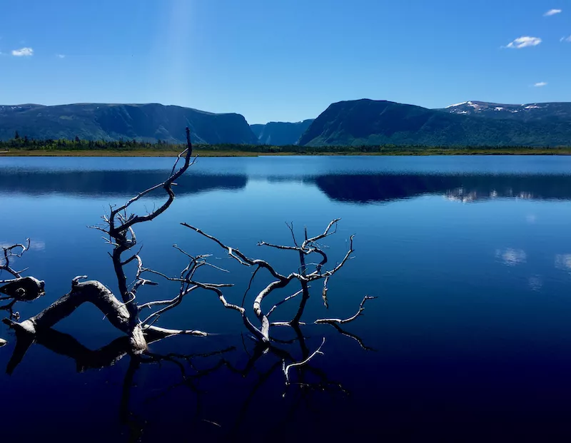 View of Western Brook Pond from the boardwalk.