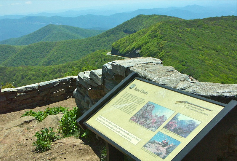 A Guide to More Than 500 of North Carolinas Greatest Hiking Trails Hiking North Carolina 