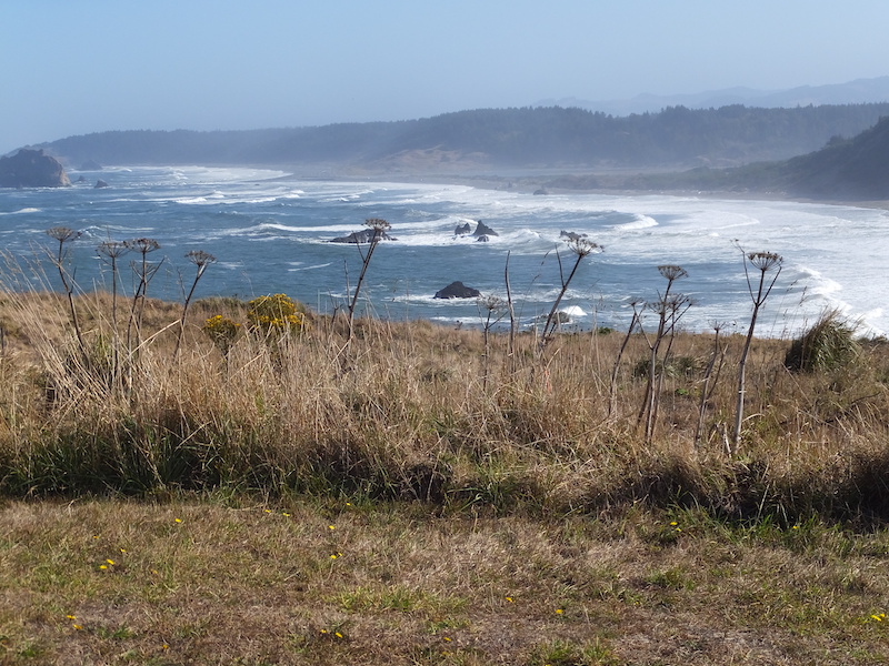 Looking at waves crashing on beach north from Cape Blanco toward Black Lock Point.