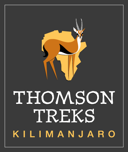 fit for trips | thomson safaris